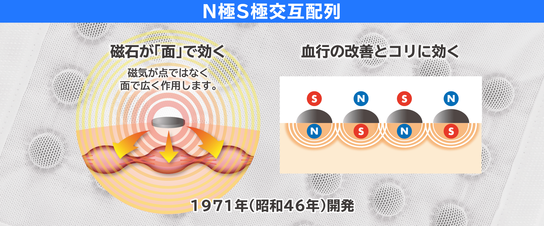 N極S極交互配列